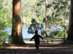 Big-brook-dam-running (1)